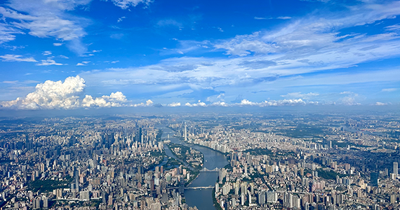 中文域名注册官方网站查询网址是什么