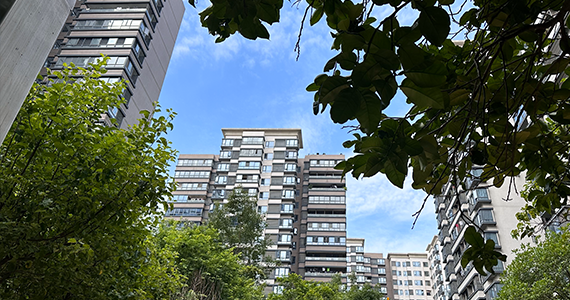 国家官方域名备案查询