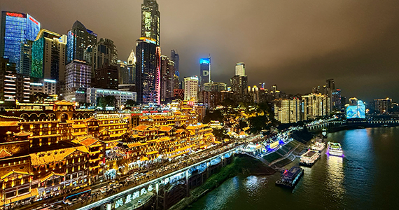 官方渠道查询域名