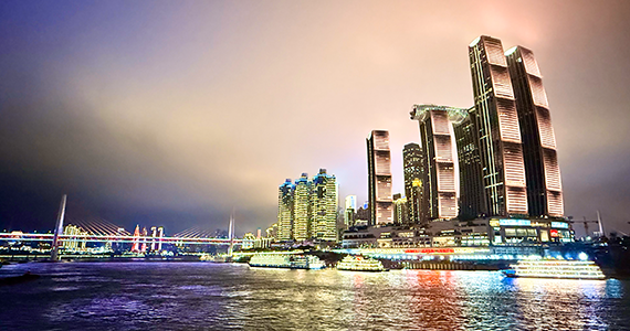 政务机构域名注册网站查询系统官方