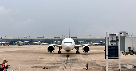 中文域名注册官方网站查询入口