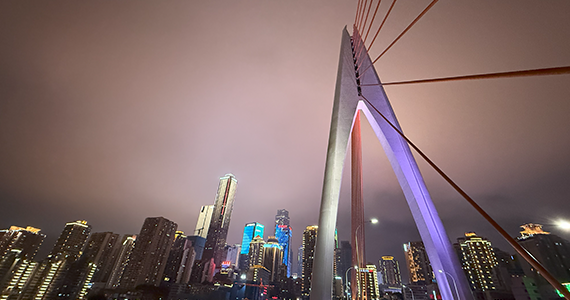 曲靖医学高等专科学校域名查询网官方网