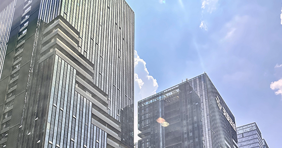 域名批量查询软件绿色官方版