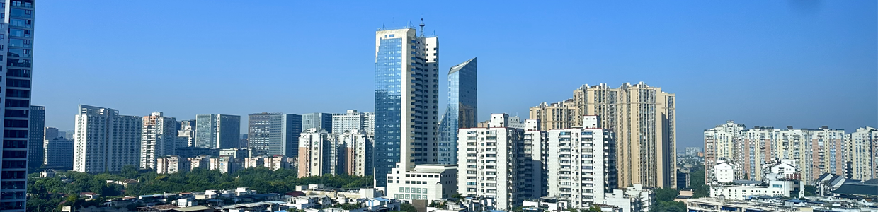 官方域名查询网